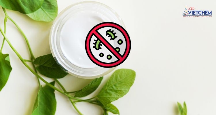 Rượu benzyl ức chế vi khuẩn 