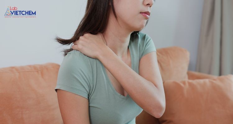 Cơ thể mệt mỏi