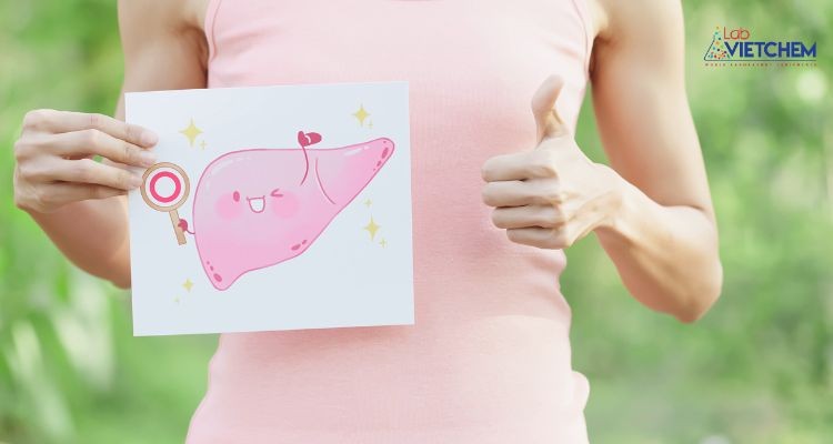 Carbs bảo vệ sức khỏe gan 