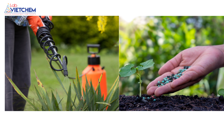 Bón phân đúng phương pháp