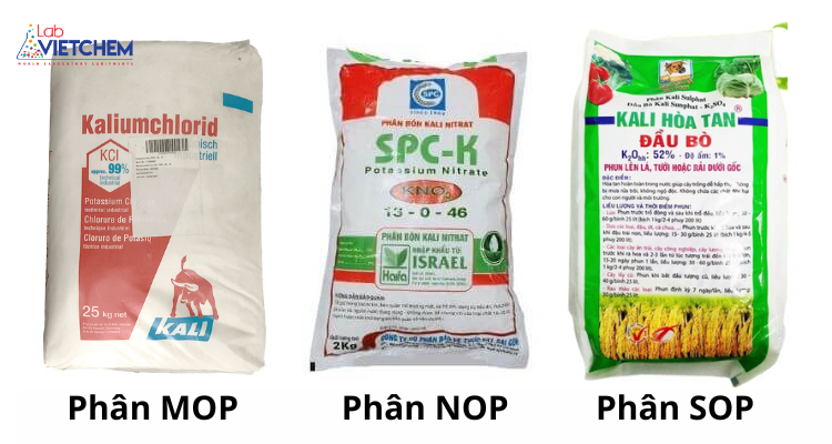 các loại phân kali