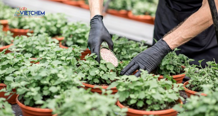 Vai trò của phân MKP đối với cây trồng