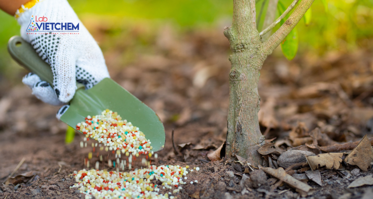 Amoni sunfat dùng để sản xuất phân bón