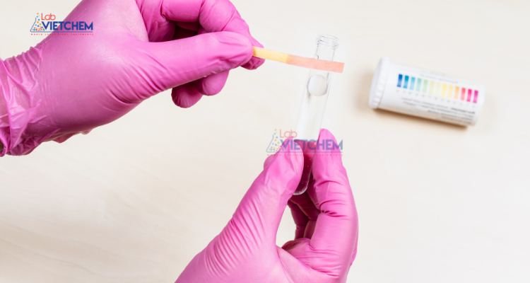 K2Cr2O7 làm quỳ tím chuyển sang màu đỏ tím