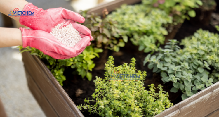 NH4NO3 là nguồn bổ sung nitơ trong phân bón 
