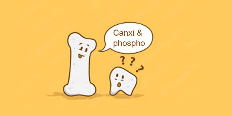 Phốt pho có vai trò gì trong cơ thể?