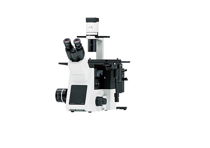 Hình ảnh kính hiển vi soi ngược IX53