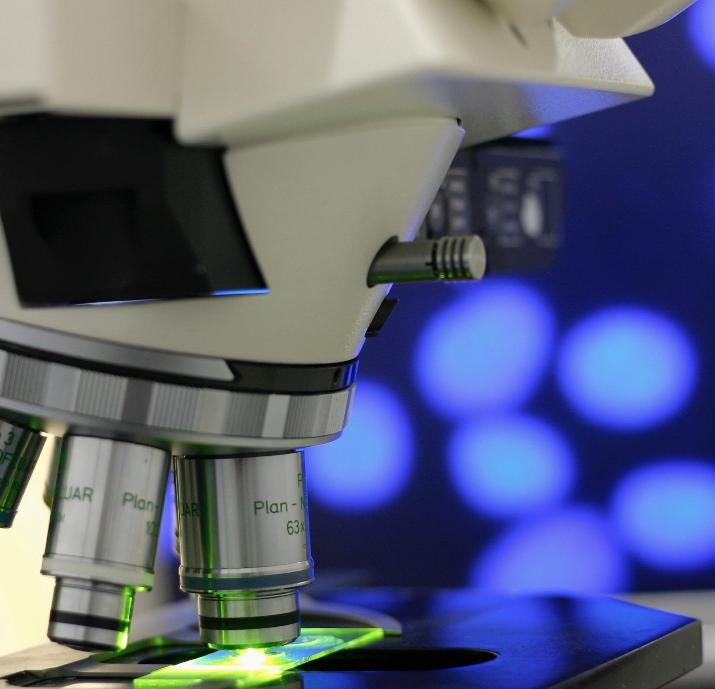 Kính hiển vi huỳnh quang dùng để làm gì?