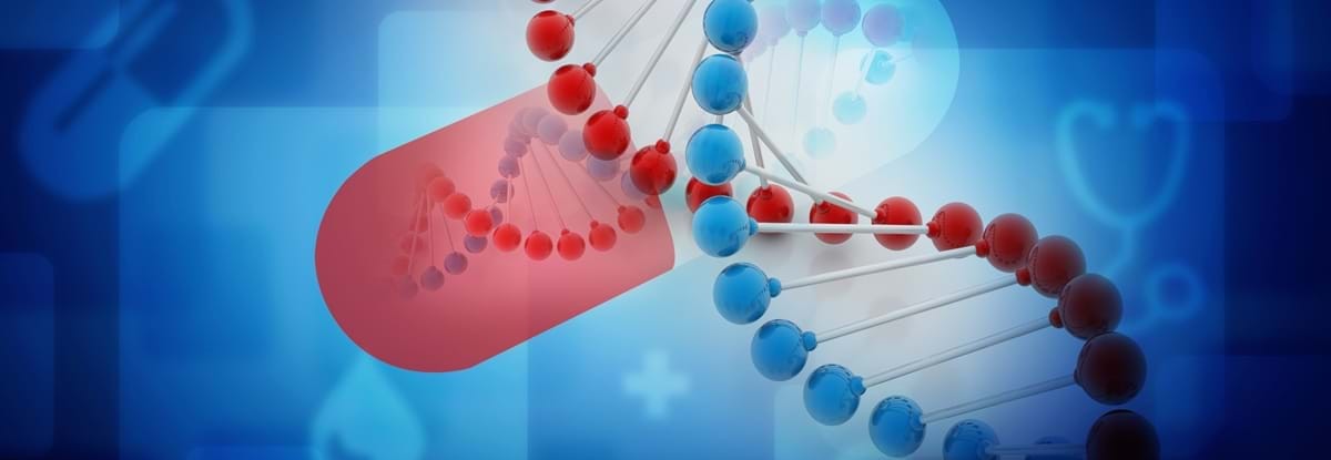 Kể tên các loại phân tử chính đang được nghiên cứu hiện nay