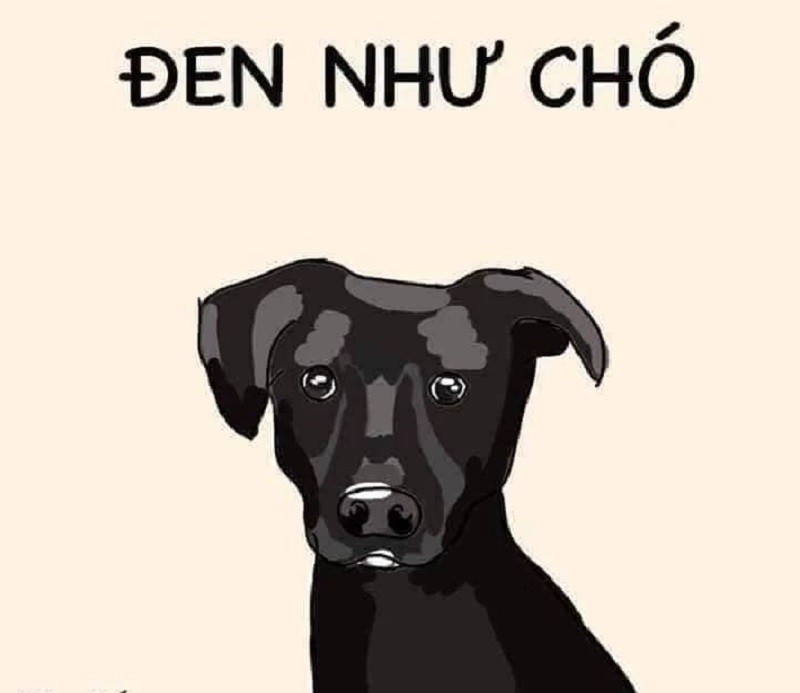 meme ở dạng hình ảnh và văn bản