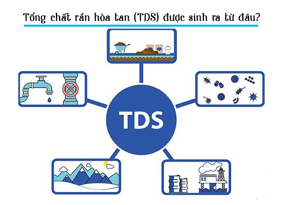 Nguyên nhân hình thành TDS