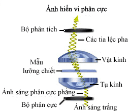 Sơ đồ nguyên lý hoạt động của kính hiển vi phân cực