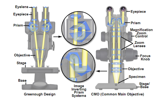Nguyên lý tạo ảnh của kính hiển vi soi nổi