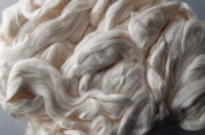 Sợi cellulose có khả năng thấm hút cao