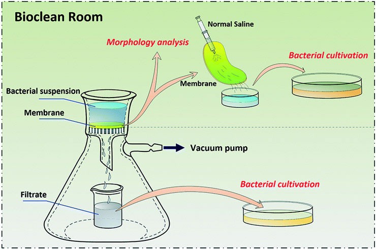 Sử dụng màng lọc vô trùng