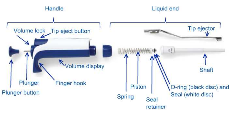 Cấu trúc của pipet