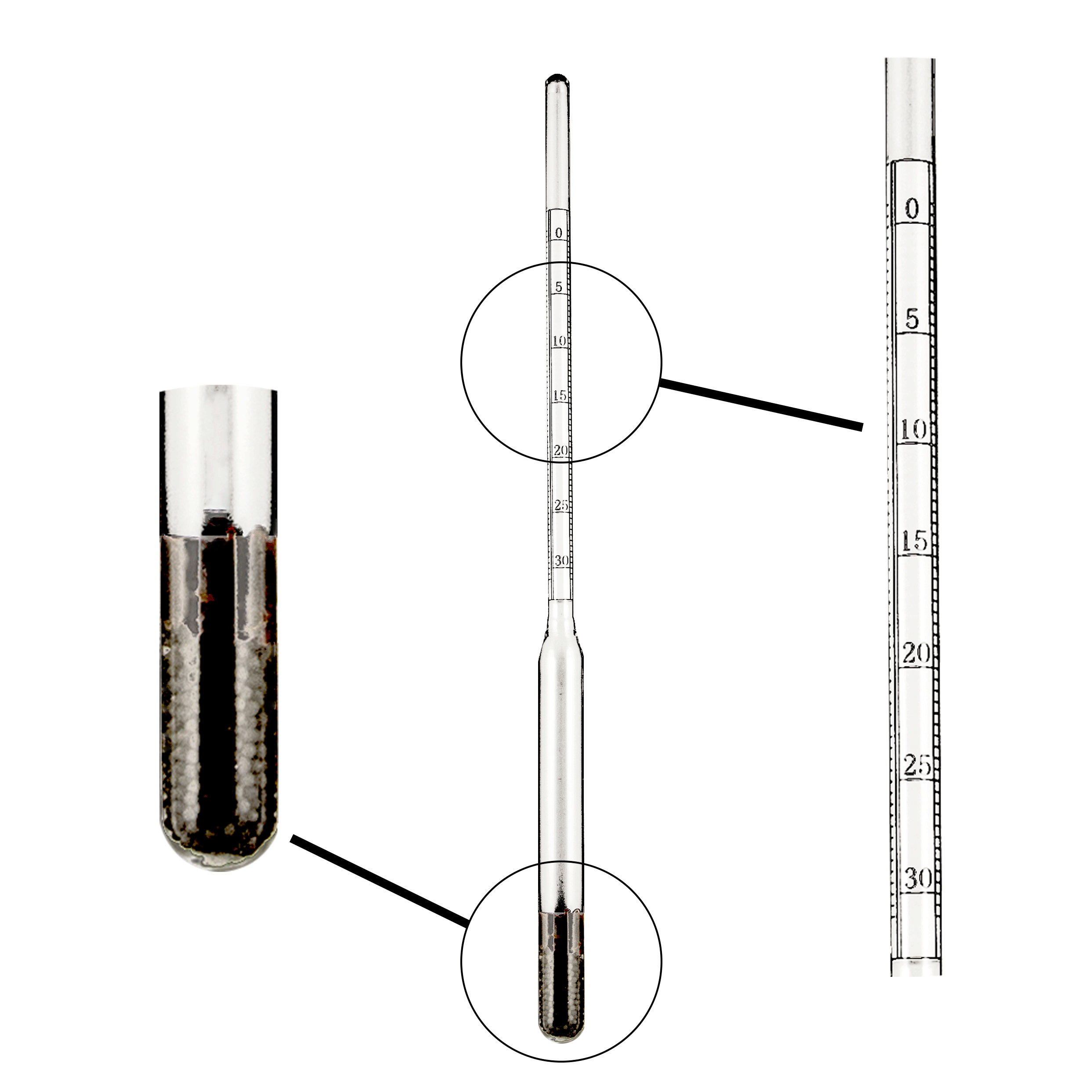 Cấu trúc của thiết kế Baume