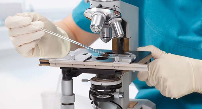 Cách sử dụng kính hiển vi tại phòng thí nghiệm cần đúng kỹ thuật