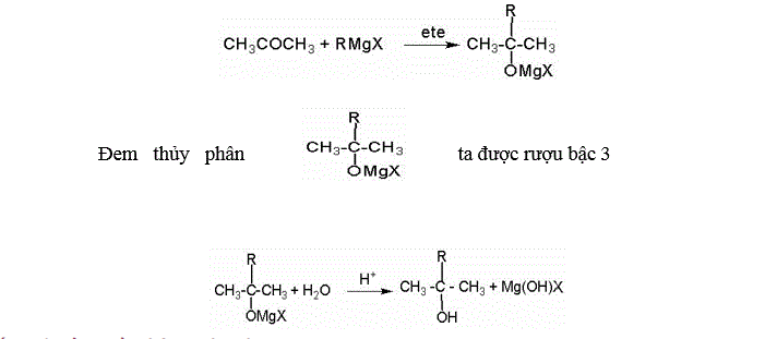 Bổ sung các hợp chất với magiê