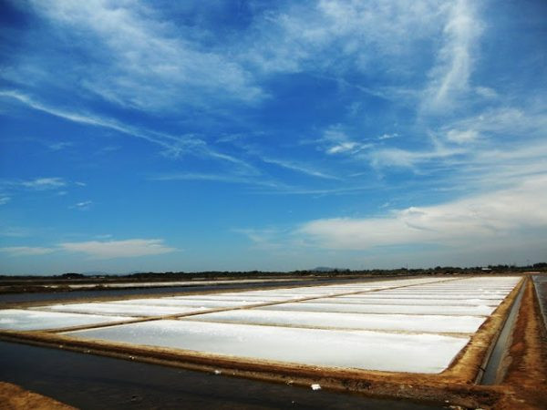 Quy trình sản xuất muối sạch trên cát - Ruộng muối được chia ô vuông