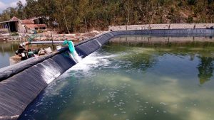 Hóa chất xử lý nước thải ngành thủy sản, địa chỉ mua uy tín