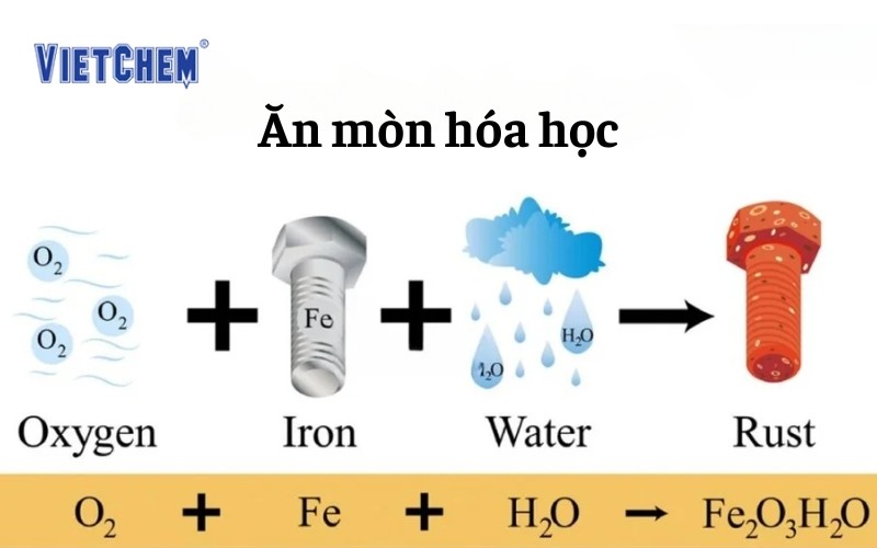 an-mon-hoa-hốc