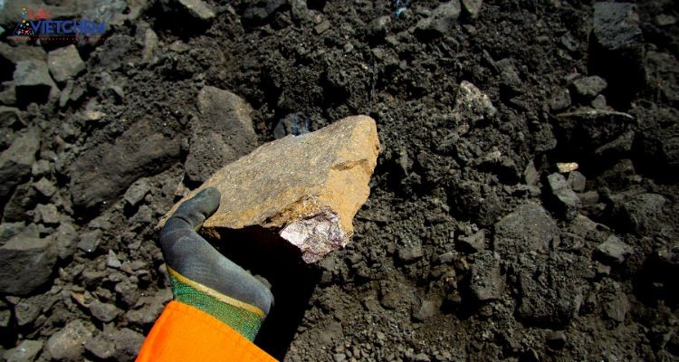 Niken được hấp thụ vào trầm tích