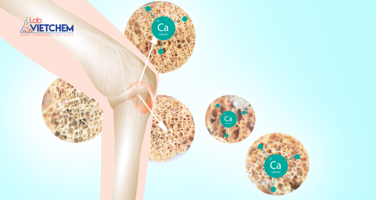 Canxi rất cần thiết cho xương và khớp khỏe mạnh