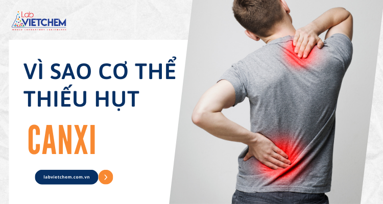 Vì sao cơ thể thiếu canxi?