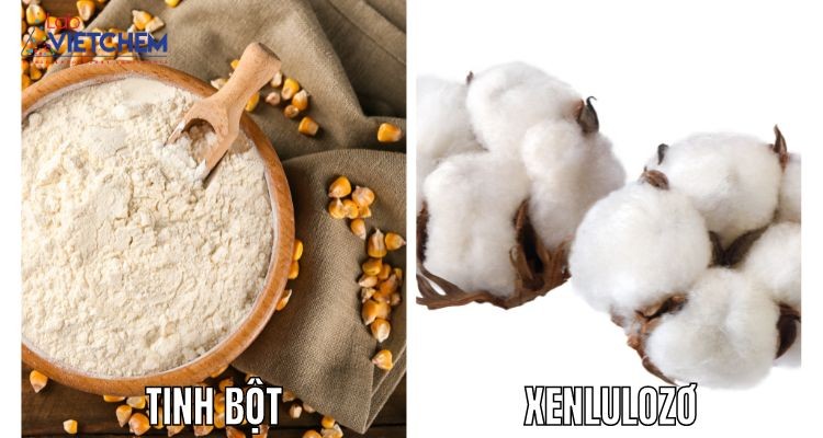 Tinh bột và xenlulo tồn tại ở các trạng thái tự nhiên khác nhau