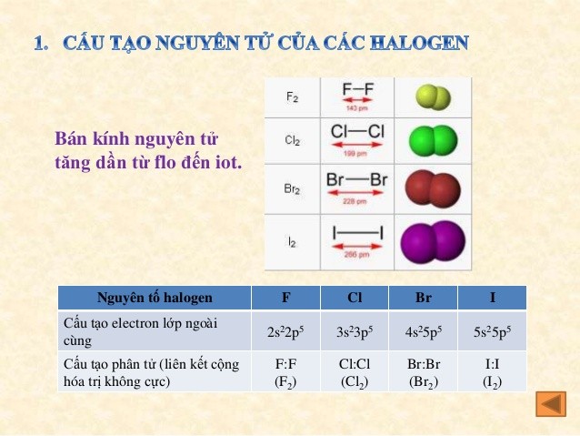 Các nguyên tố nhóm halogen đều có cấu hình electron là ns2np5
