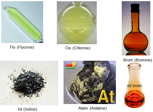 Halogen là nguyên tố thuộc nhóm VIIA trong bảng tuần hoàn các nguyên tố hóa học