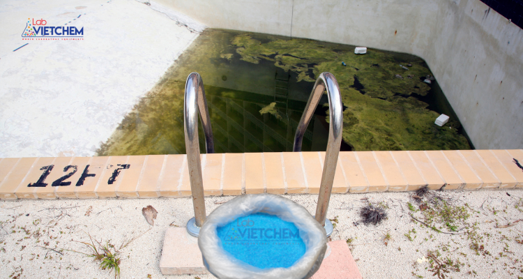 Cách xử lý tảo trong nước bể bơi bằng CuSO4