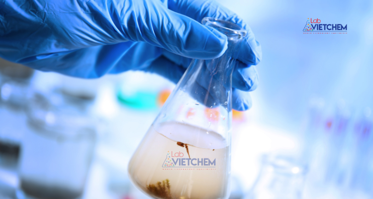 Nước bị nhiễm đá vôi có biểu hiện gì?