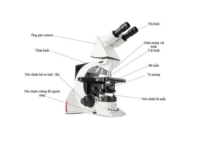 Cấu trúc cơ bản của kính hiển vi sinh học