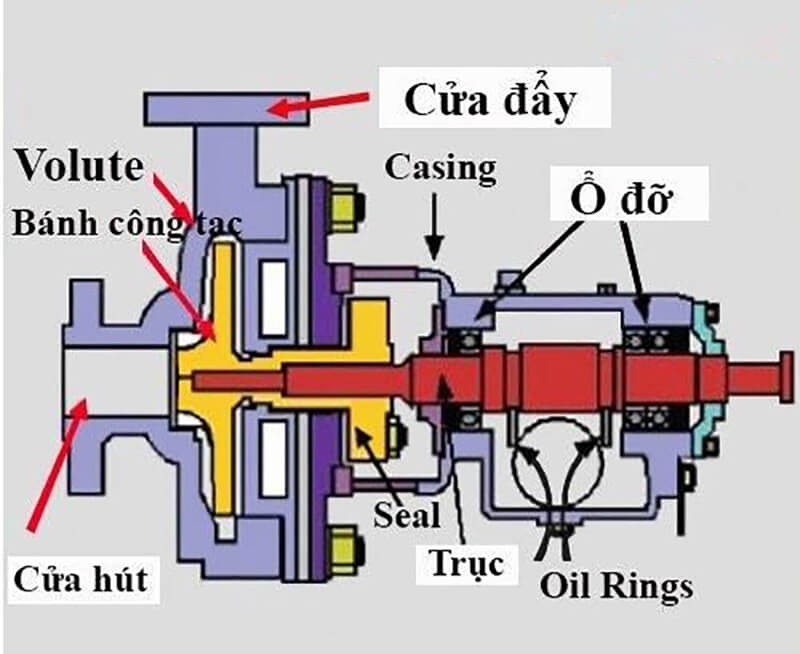 Hình ảnh các bộ phận của máy bơm ly tâm