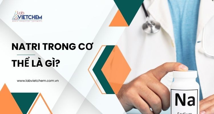Natri trong cơ thể là gì?