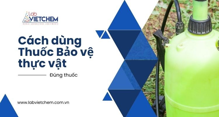 Sử dụng đúng thuốc làm tăng hiệu quả tiêu diệt vi khuẩn có hại