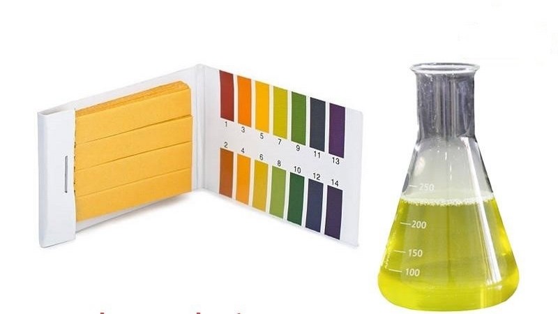 Nước clo đổi màu, quỳ xuống tìm kiếm