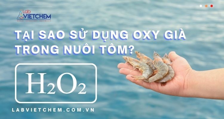 Tại sao sử dụng H2O2 trong xử lý ao nuôi tôm?