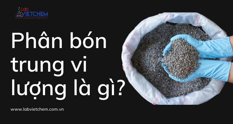Phân vi lượng là gì?