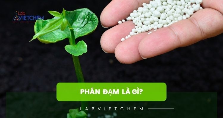 Phân đạm là gì?
