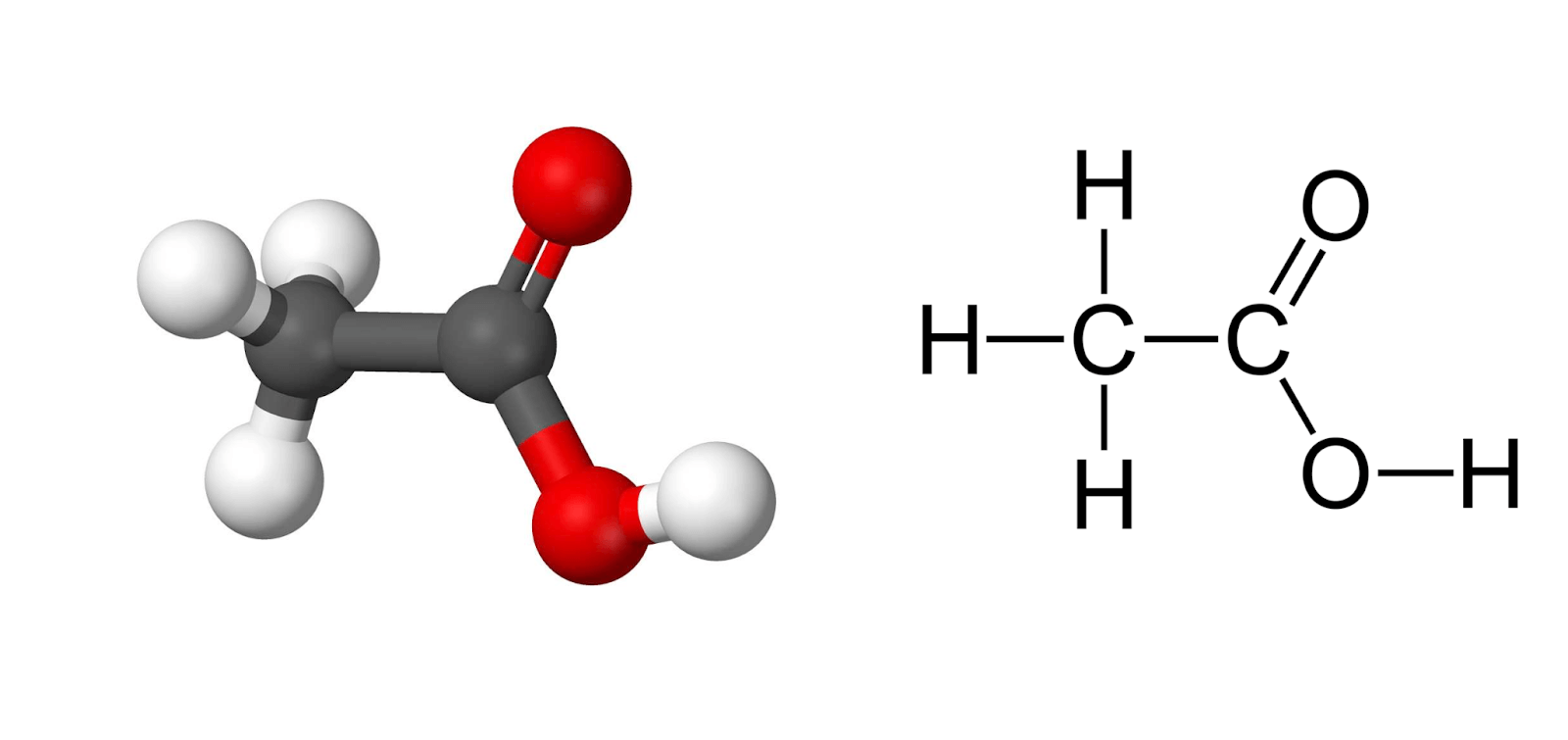 Cấu trúc phân tử của axit axetic
