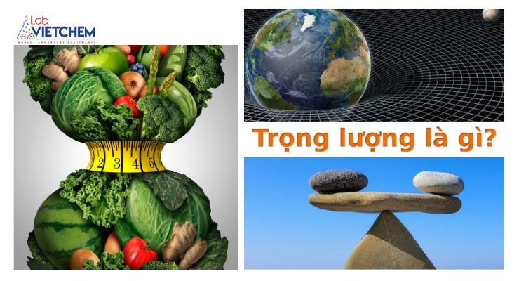 Trọng lượng là trọng lượng của bất kỳ vật nào, được đo bằng Newton