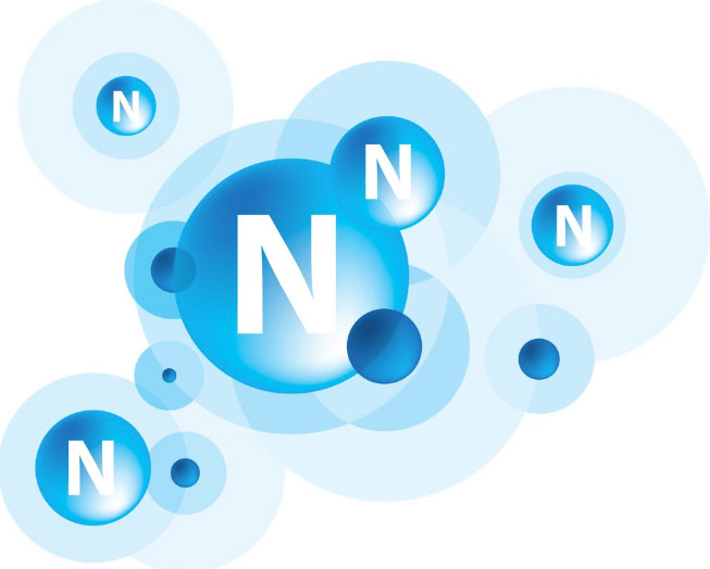 Nitơ là thành phần quan trọng cấu tạo nên tế bào sống