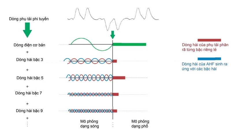 Bộ lộc song hai là gì?
