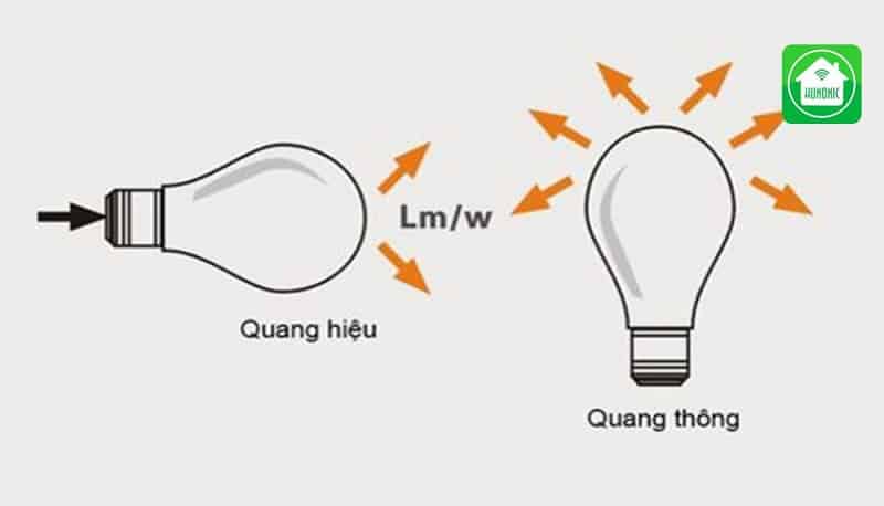 Nắm được diện tích của một căn phòng rất quan trọng vì bạn sẽ biết được lượng Lumen cần sử dụng