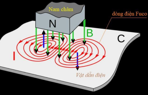khai báo hợp đồng fuco dien