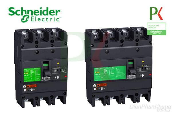 Khối chống sốc Aptomat ELCB của Schneider Electric