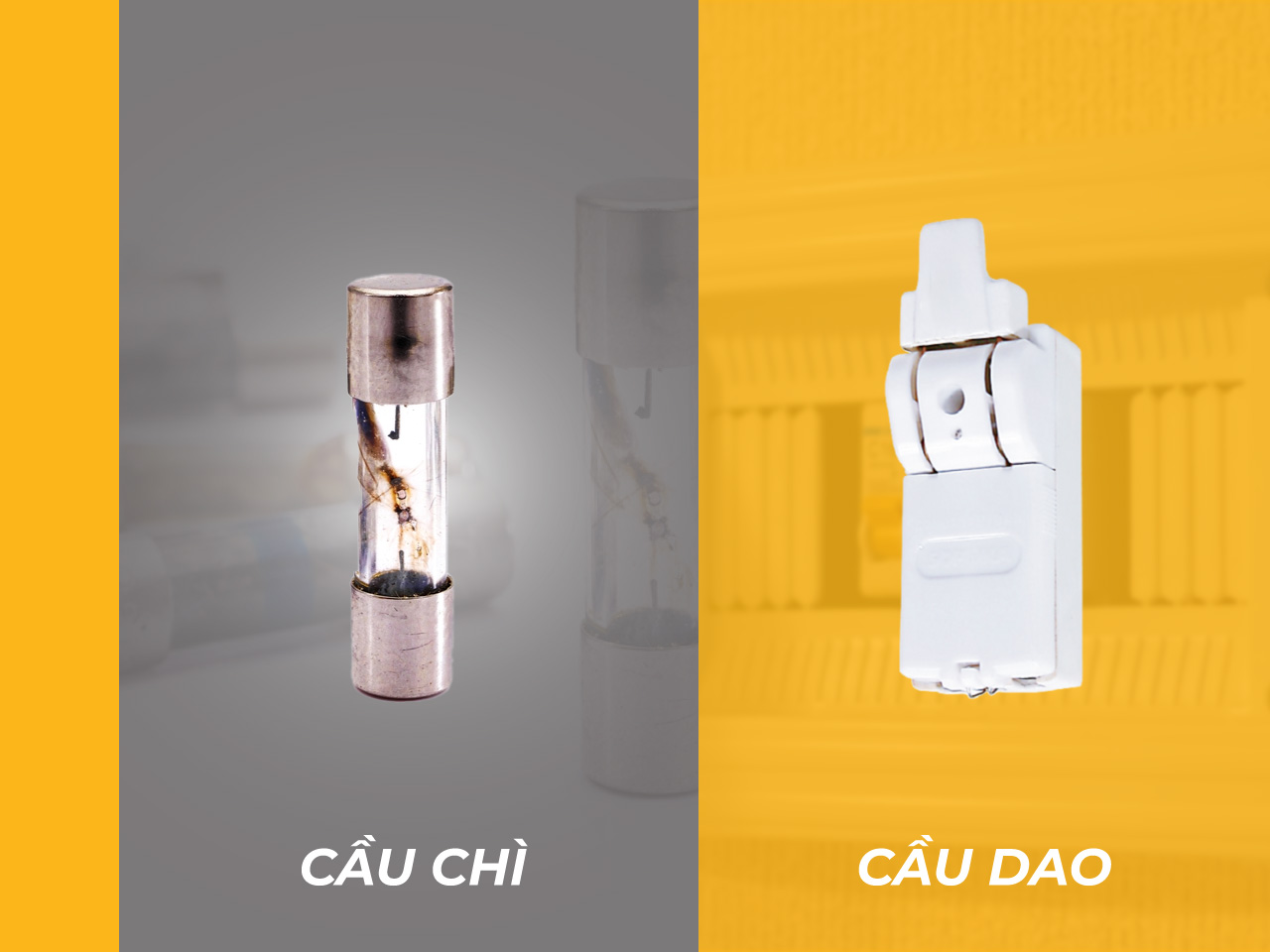 cau-dao-and-cau-chi-banner